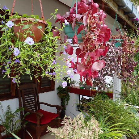 Gem Villa Weligama Eksteriør bilde