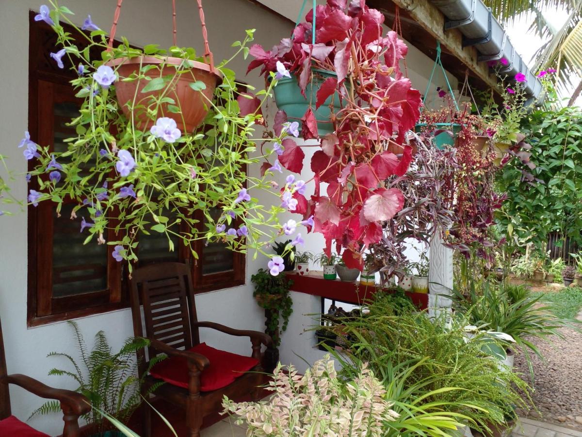 Gem Villa Weligama Eksteriør bilde